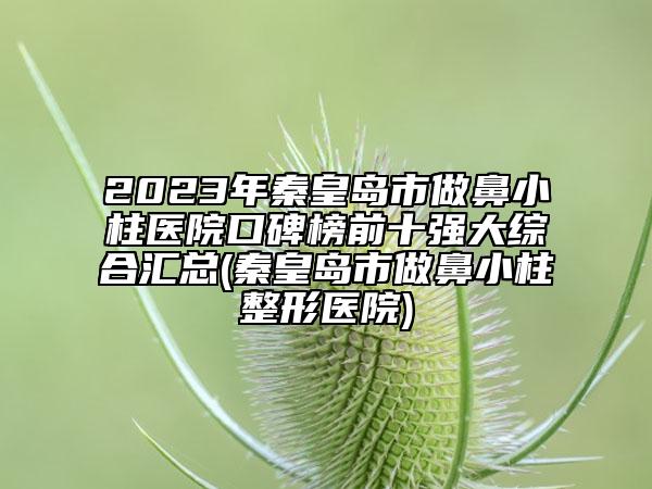 2023年秦皇岛市做鼻小柱医院口碑榜前十强大综合汇总(秦皇岛市做鼻小柱整形医院)