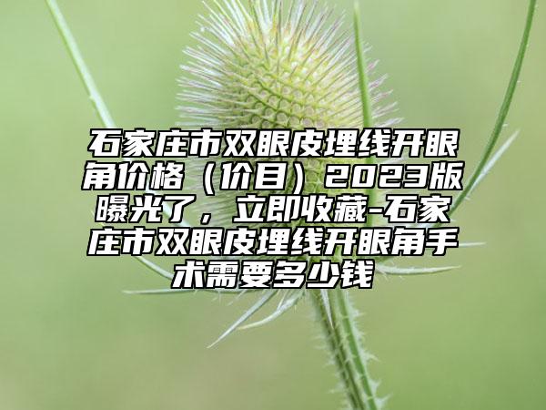 石家庄市双眼皮埋线开眼角价格（价目）2023版曝光了，立即收藏-石家庄市双眼皮埋线开眼角手术需要多少钱