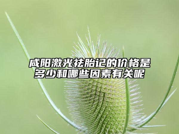 咸阳激光祛胎记的价格是多少和哪些因素有关呢