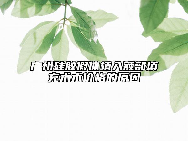 广州硅胶假体植入额部填充术术价格的原因