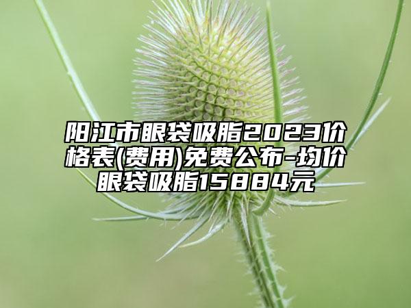 阳江市眼袋吸脂2023价格表(费用)免费公布-均价眼袋吸脂15884元