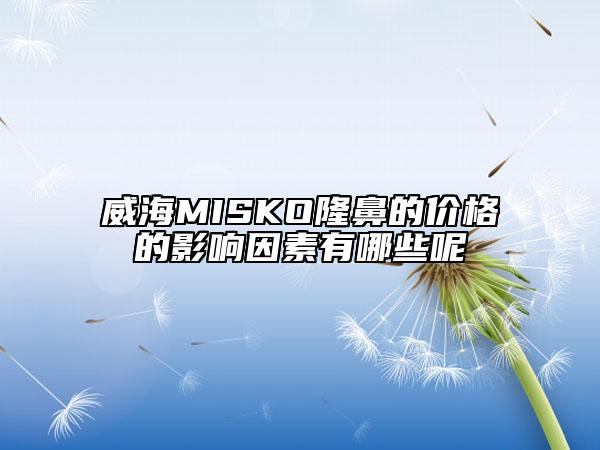 威海MISKO隆鼻的价格的影响因素有哪些呢