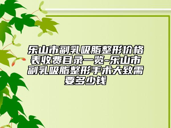 乐山市副乳吸脂整形价格表收费目录一览-乐山市副乳吸脂整形手术大致需要多少钱