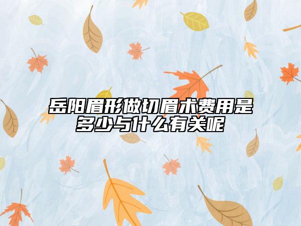 岳阳眉形做切眉术费用是多少与什么有关呢