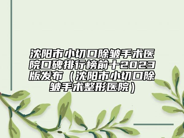 沈阳市小切口除皱手术医院口碑排行榜前十2023版发布（沈阳市小切口除皱手术整形医院）