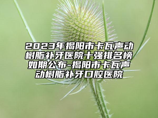 2023年揭阳市卡瓦声动树脂补牙医院十强排名榜如期公布-揭阳市卡瓦声动树脂补牙口腔医院