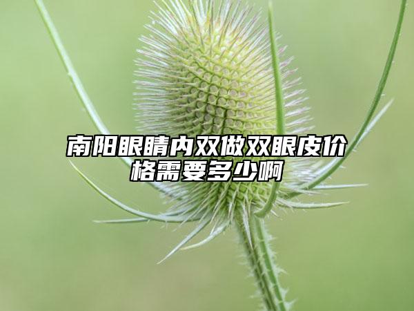 南阳眼睛内双做双眼皮价格需要多少啊