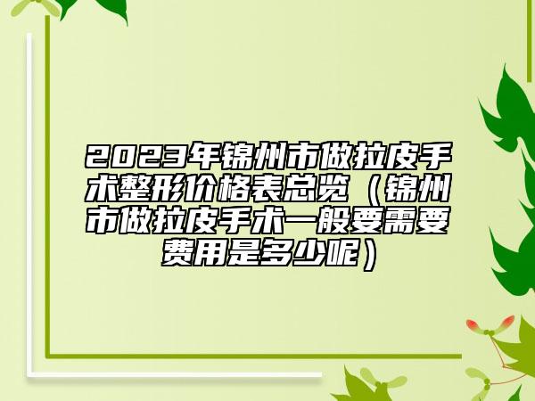 2023年锦州市做拉皮手术整形价格表总览（锦州市做拉皮手术一般要需要费用是多少呢）