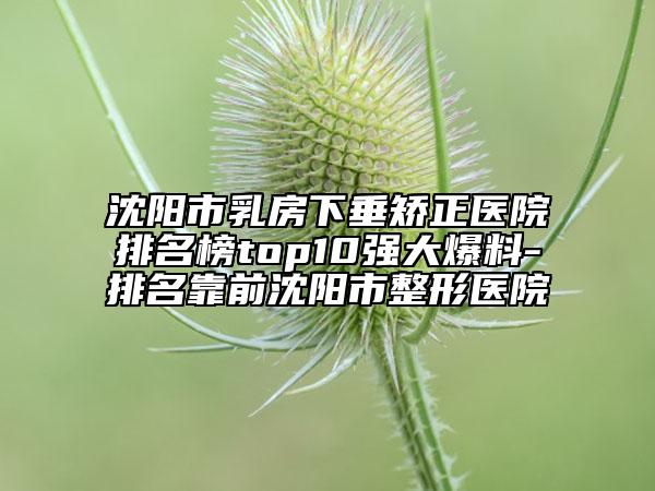 沈阳市乳房下垂矫正医院排名榜top10强大爆料-排名靠前沈阳市整形医院