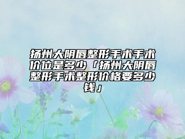 扬州大阴唇整形手术手术价位是多少「扬州大阴唇整形手术整形价格要多少钱」