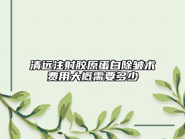 清远注射胶原蛋白除皱术费用大概需要多少