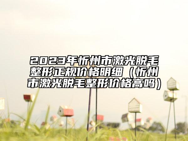 2023年忻州市激光脱毛整形正规价格明细（忻州市激光脱毛整形价格高吗）