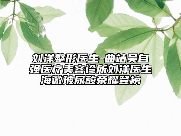 刘洋整形医生-曲靖吴自强医疗美容诊所刘洋医生海微玻尿酸荣耀登榜