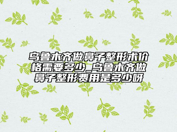 乌鲁木齐做鼻子整形术价格需要多少_乌鲁木齐做鼻子整形费用是多少呀