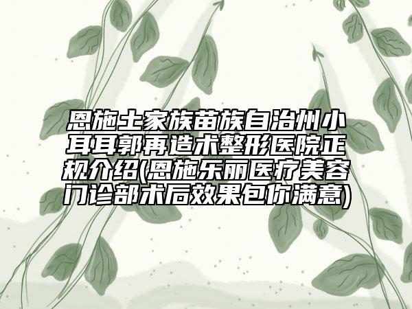 恩施土家族苗族自治州小耳耳郭再造术整形医院正规介绍(恩施乐丽医疗美容门诊部术后效果包你满意)