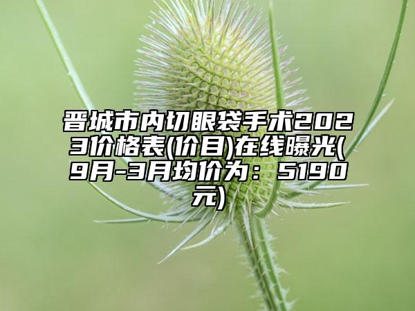 晋城市内切眼袋手术2023价格表(价目)在线曝光(9月-3月均价为：5190元)