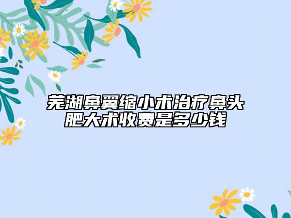 芜湖鼻翼缩小术治疗鼻头肥大术收费是多少钱