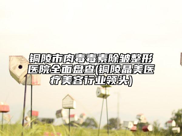 铜陵市肉毒毒素除皱整形医院全面盘查(铜陵晶美医疗美容行业领头)