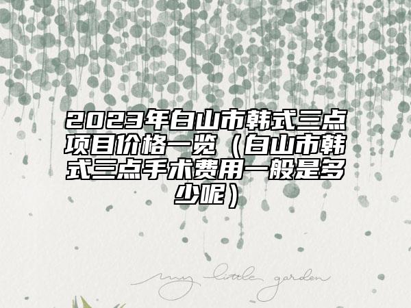 2023年白山市韩式三点项目价格一览（白山市韩式三点手术费用一般是多少呢）