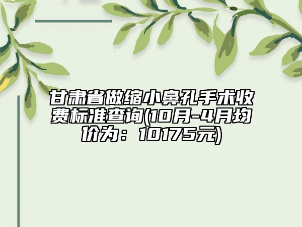 甘肃省做缩小鼻孔手术收费标准查询(10月-4月均价为：10175元)