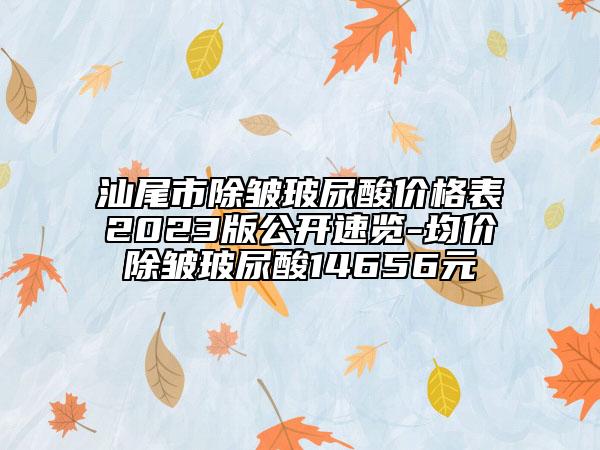 汕尾市除皱玻尿酸价格表2023版公开速览-均价除皱玻尿酸14656元