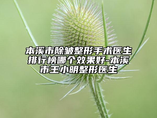 本溪市除皱整形手术医生排行榜哪个效果好-本溪市王小明整形医生