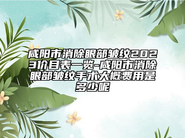 咸阳市消除眼部皱纹2023价目表一览-咸阳市消除眼部皱纹手术大概费用是多少呢