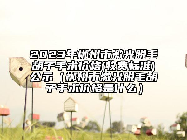 2023年郴州市激光脱毛胡子手术价格(收费标准)公示（郴州市激光脱毛胡子手术价格是什么）