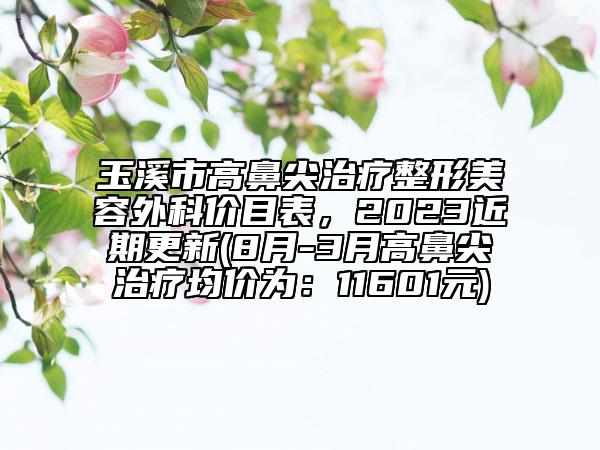 玉溪市高鼻尖治疗整形美容外科价目表，2023近期更新(8月-3月高鼻尖治疗均价为：11601元)