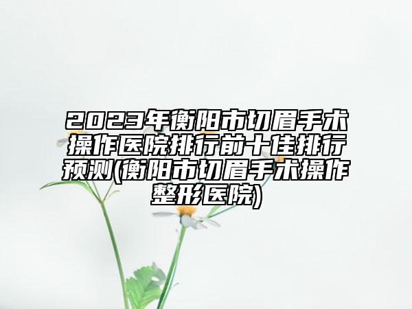 2023年衡阳市切眉手术操作医院排行前十佳排行预测(衡阳市切眉手术操作整形医院)