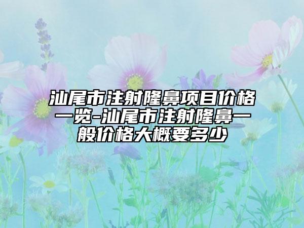 汕尾市注射隆鼻项目价格一览-汕尾市注射隆鼻一般价格大概要多少