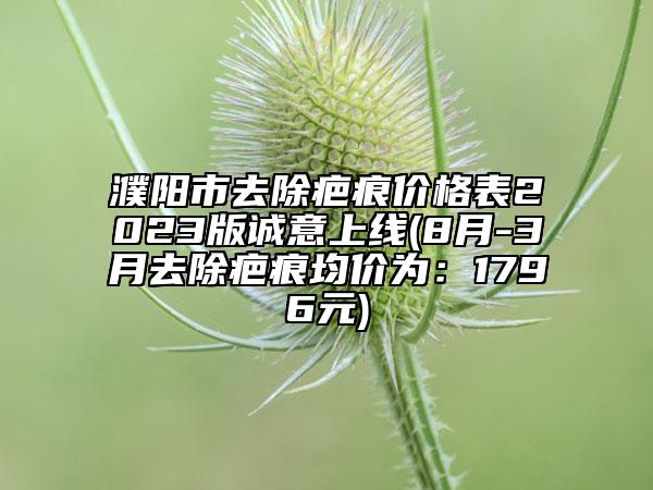 濮阳市去除疤痕价格表2023版诚意上线(8月-3月去除疤痕均价为：1796元)