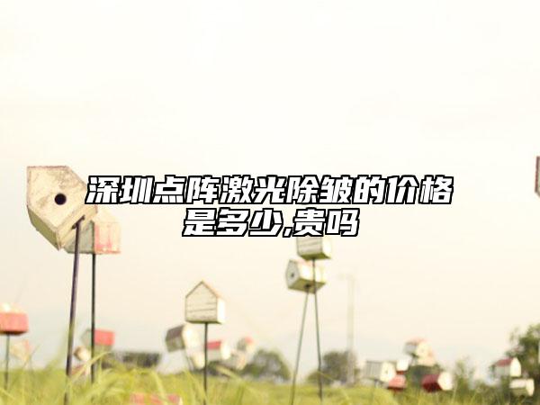 深圳点阵激光除皱的价格是多少,贵吗