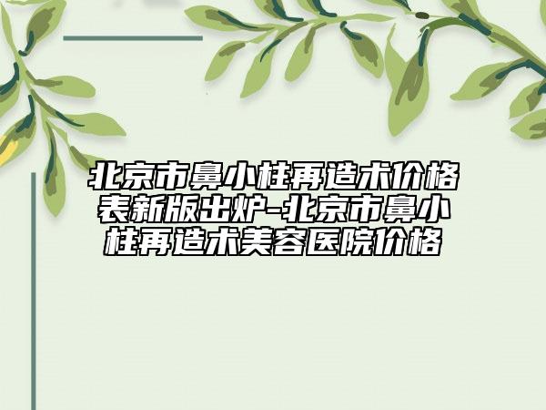 北京市鼻小柱再造术价格表新版出炉-北京市鼻小柱再造术美容医院价格