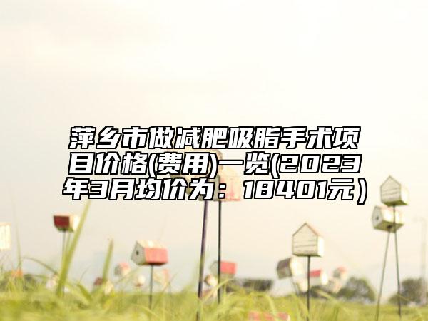 萍乡市做减肥吸脂手术项目价格(费用)一览(2023年3月均价为：18401元）