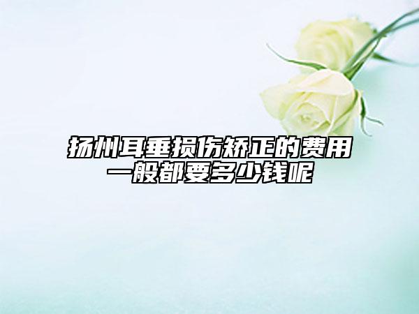 扬州耳垂损伤矫正的费用一般都要多少钱呢