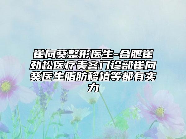 崔向葵整形医生-合肥崔劲松医疗美容门诊部崔向葵医生脂肪移植等都有实力