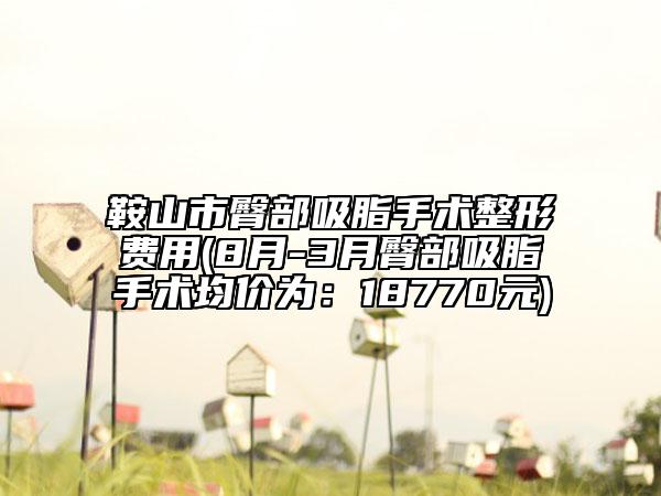 鞍山市臀部吸脂手术整形费用(8月-3月臀部吸脂手术均价为：18770元)