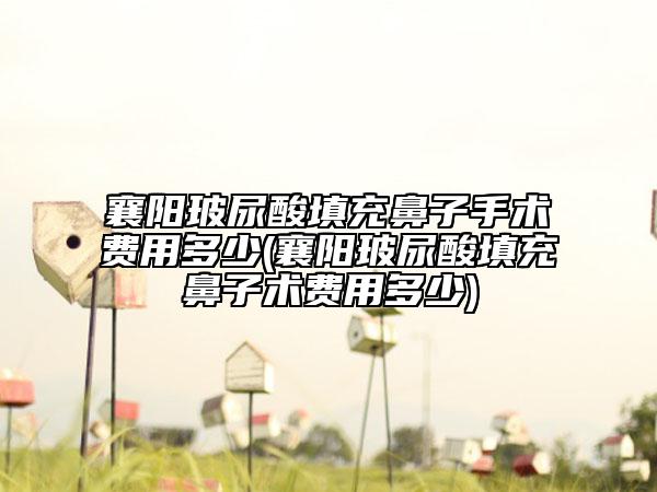 襄阳玻尿酸填充鼻子手术费用多少(襄阳玻尿酸填充鼻子术费用多少)