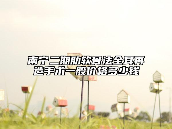 南宁二期肋软骨法全耳再造手术一般价格多少钱