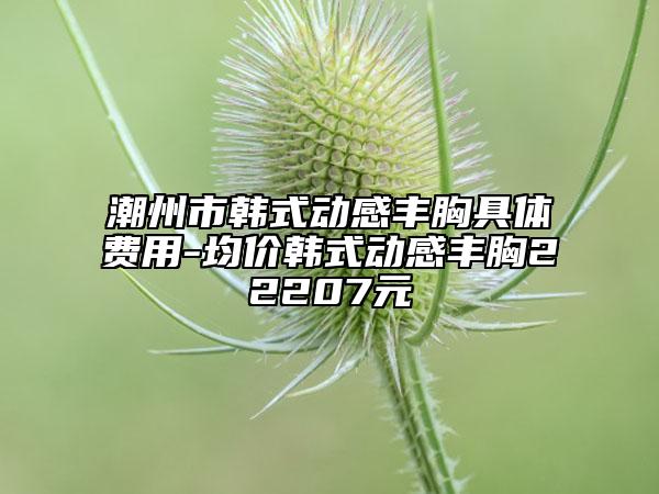 潮州市韩式动感丰胸具体费用-均价韩式动感丰胸22207元