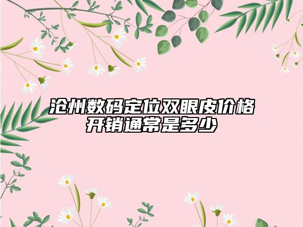 沧州数码定位双眼皮价格开销通常是多少