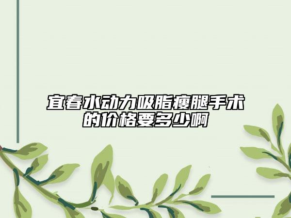 宜春水动力吸脂瘦腿手术的价格要多少啊