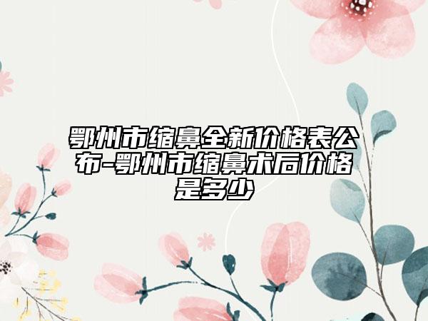 鄂州市缩鼻全新价格表公布-鄂州市缩鼻术后价格是多少