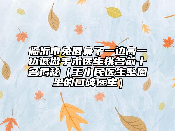 临沂市兔唇鼻子一边高一边低做手术医生排名前十名揭秘（王小民医生整圈里的口碑医生）