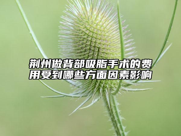 荆州做背部吸脂手术的费用受到哪些方面因素影响