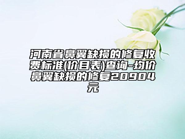 河南省鼻翼缺损的修复收费标准(价目表)查询-均价鼻翼缺损的修复20904元