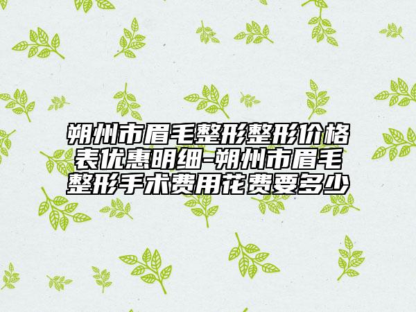 朔州市眉毛整形整形价格表优惠明细-朔州市眉毛整形手术费用花费要多少