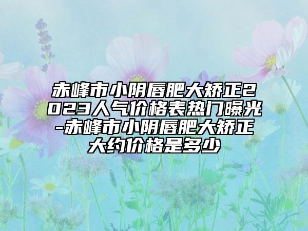 赤峰市小阴唇肥大矫正2023人气价格表热门曝光-赤峰市小阴唇肥大矫正大约价格是多少