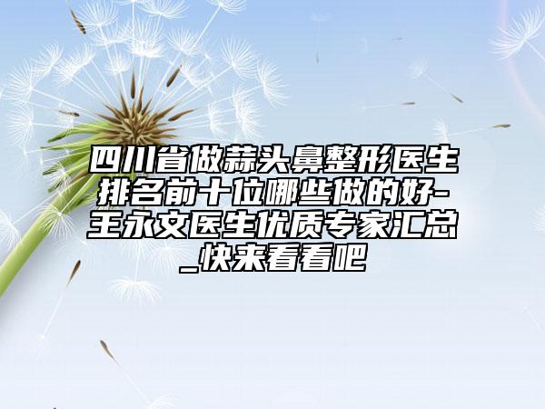 四川省做蒜头鼻整形医生排名前十位哪些做的好-王永文医生优质专家汇总_快来看看吧